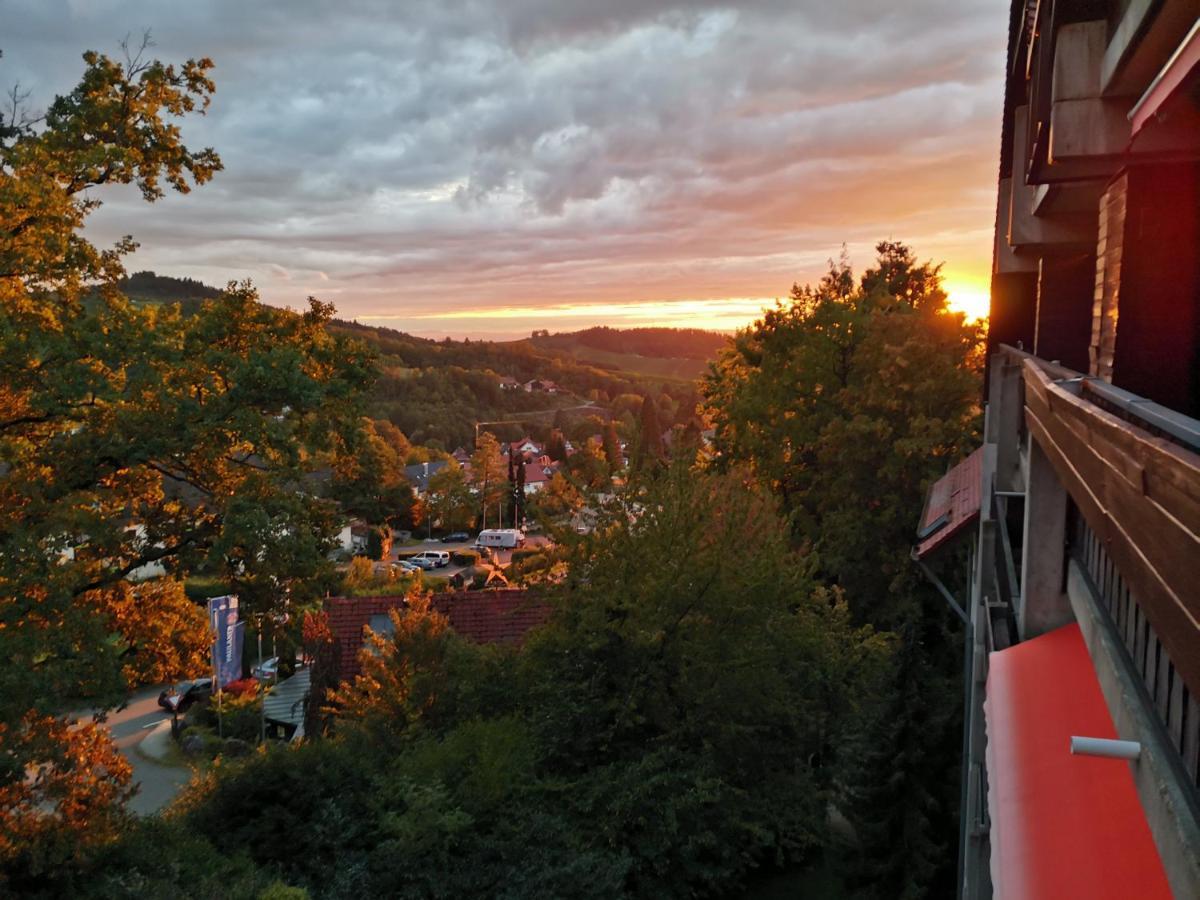 Gaishoell-Wasserfaelle Apartment Schwarzwald Засбахвалден Екстериор снимка