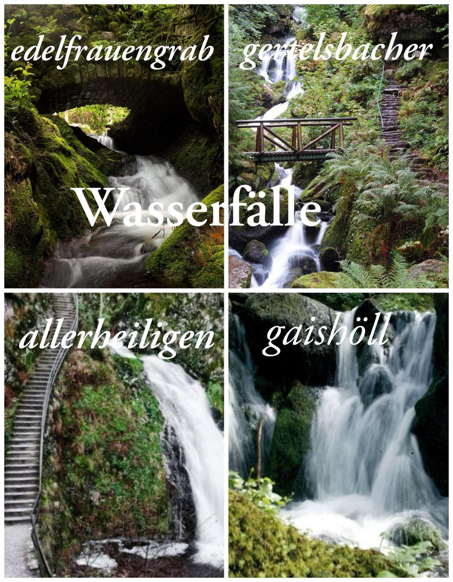 Gaishoell-Wasserfaelle Apartment Schwarzwald Засбахвалден Екстериор снимка