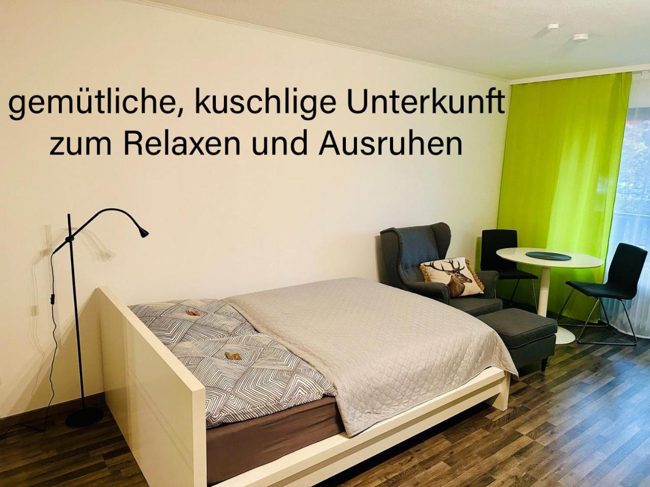 Gaishoell-Wasserfaelle Apartment Schwarzwald Засбахвалден Екстериор снимка